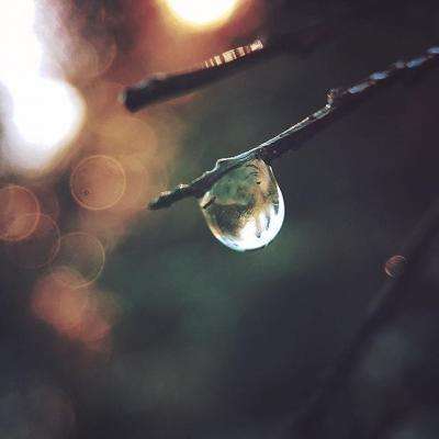 买球的app排行榜前十名推荐